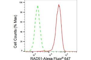 Flow cytometric analysis of RAD51 expression in HAP-1 cells using RAD51 antibody (ABIN7798366), 1:2,000). (Rekombinanter RAD51 Antikörper)