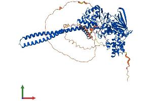 Protein Structure (PS) image for Lysine (K)-Specific Demethylase 1A (KDM1A) (AA 1-852) protein (His tag) (ABIN7554305)