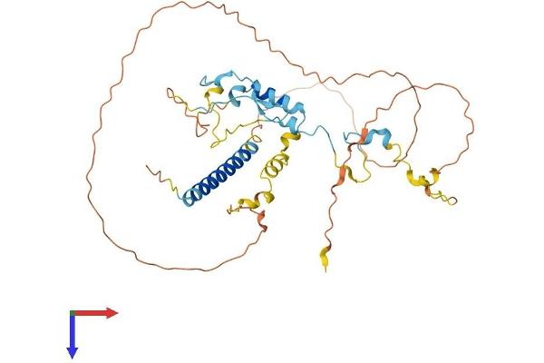 MIIP Protein (AA 1-387) (His tag)