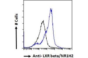 ABIN185293 Flow cytometric analysis of paraformaldehyde fixed HeLa cells (blue line), permeabilized with 0.