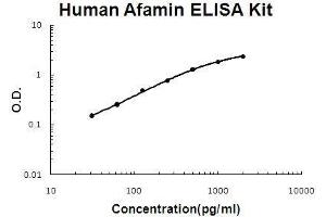 Afamin ELISA Kit