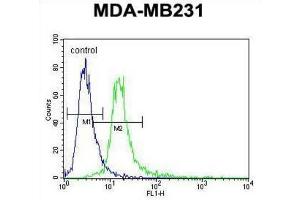 Flow Cytometry (FACS) image for anti-Ankyrin Repeat Domain 13C (ANKRD13C) antibody (ABIN3004051) (ANKRD13C Antikörper)
