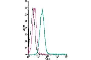 Cell surface detection of SLC11A1/NRAMP1 by direct flow cytometry in live intact human  monocytic leukemia cells: + Rabbit IgG isotype control-FITC.