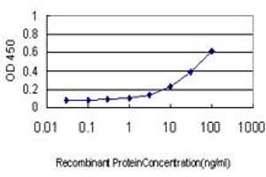 Detection limit for recombinant GST tagged PBP is approximately 0. (PEBP1 Antikörper  (AA 1-187))