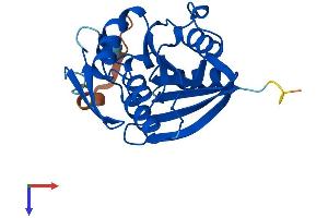 FAM119A Protein (AA 1-218) (His tag)