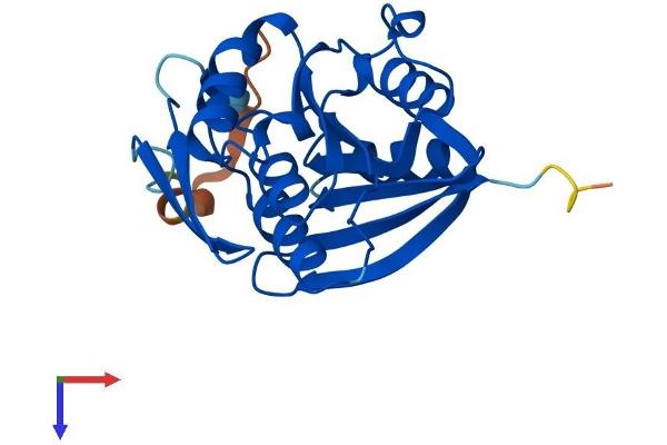 FAM119A Protein (AA 1-218) (His tag)