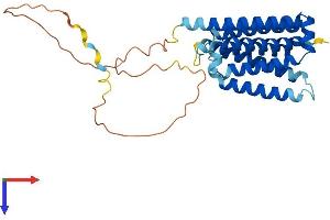 FAIM2 Protein (AA 1-317) (His tag)