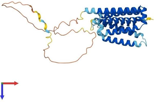 FAIM2 Protein (AA 1-317) (His tag)