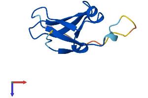 DPH3 Protein (AA 1-82) (Fc Tag)