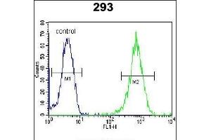 LARP6 Antibody (N-term) (ABIN654784 and ABIN2844464) flow cytometric analysis of 293 cells (right histogram) compared to a negative control cell (left histogram).