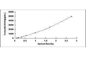 Typical standard curve (LOXL1 ELISA Kit)