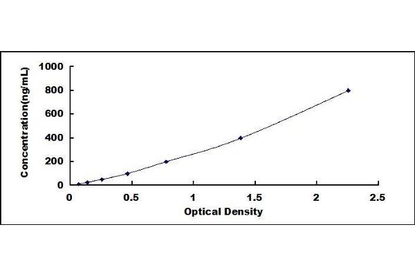 Clusterin ELISA Kit