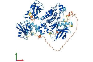 Protein Structure (PS) image for Spleen tyrosine Kinase (SYK) (AA 1-635) protein (His tag) (ABIN7554389)