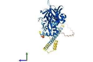 Protein Structure (PS) image for Vacuolar Protein Sorting 36 (VPS36) (AA 1-386) protein (His tag) (ABIN7545074)