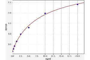 Transferrin (TF) ELISA Kit