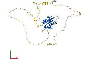 Protein Structure (PS) image for Interferon Regulatory Factor 1 (IRF1) (AA 1-329) protein (His tag) (ABIN7562884)
