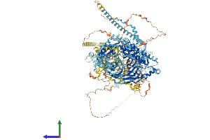 AlphaFold protein structure predicition of Mouse Recombinant Cc2d2a Protein, UniprotID Q8CFW7