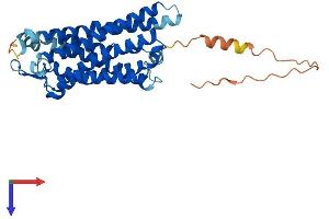P2RY8 Protein (AA 1-359) (His tag)