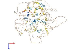 EIF4ENIF1 Protein (AA 1-985) (His tag)