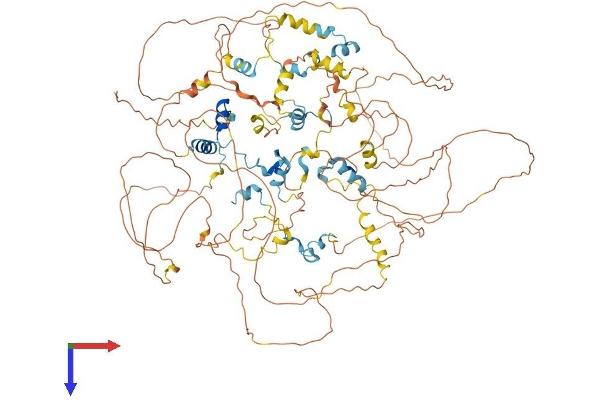 EIF4ENIF1 Protein (AA 1-985) (His tag)