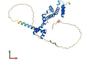 Protein Structure (PS) image for SIX Homeobox 2 (SIX2) (AA 1-296) protein (His tag) (ABIN7563956)