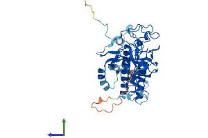 Protein Structure (PS) image for Suppressor of Variegation 3-9 Homolog 1 (Drosophila) (SUV39H1) (AA 1-412) protein (His tag) (ABIN7562432)