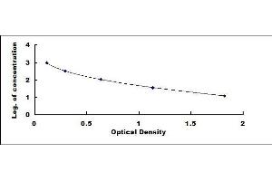 ELISA image for Amyloid beta 1-42 (Abeta 1-42) ELISA Kit (ABIN414765)