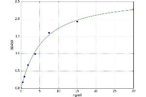gamma-Glutamyl Hydrolase (Conjugase, Folylpolygammaglutamyl Hydrolase) (GGH) ELISA Kit