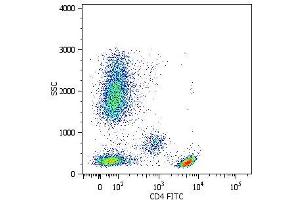 Surface staining of human peripheral blood cells with anti-human CD4 (MEM-241) FITC. (CD4 Antikörper  (N-Term) (APC))