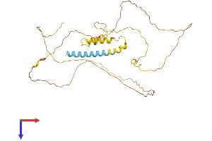 PRRT2 Protein (AA 1-340) (His tag)