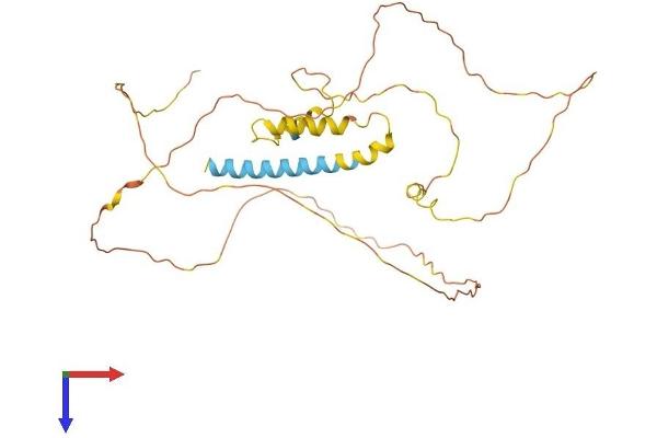 PRRT2 Protein (AA 1-340) (His tag)