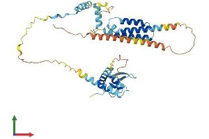 Protein Structure (PS) image for EP300 Interacting Inhibitor of Differentiation 3 (EID3) (AA 1-375) protein (His tag) (ABIN7557340)