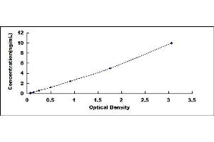 Typical standard curve (MMP16 ELISA Kit)