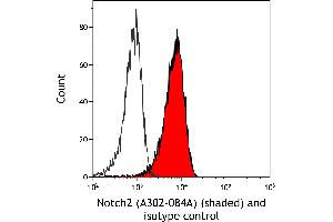 Flow Cytometry (FACS) image for anti-Notch 2 (NOTCH2) (AA 2421-2471) antibody (ABIN7454805) (NOTCH2 Antikörper  (AA 2421-2471))
