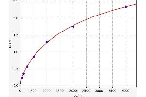 ALOX15 ELISA Kit