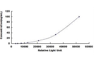 Typical standard curve (beta Actin CLIA Kit)