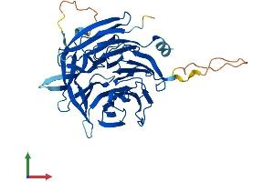 Protein Structure (PS) image for Tumor Suppressing Subtransferable Candidate 1 (TSSC1) (AA 1-387) protein (His tag) (ABIN7544881)
