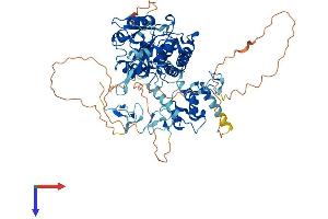 ZRANB1 Protein (AA 1-708) (His tag)