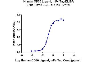 ELISA image for Tumor Necrosis Factor (Ligand) Superfamily, Member 8 (TNFSF8) (AA 63-234) protein (mFc Tag) (ABIN7274156)