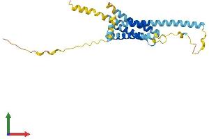 AlphaFold protein structure predicition of Human Recombinant TMEM176A Protein, UniprotID Q96HP8