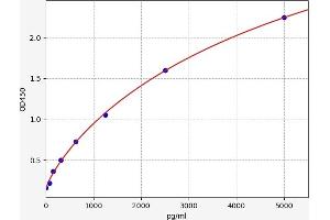 p21 ELISA Kit