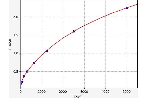 p21 ELISA Kit