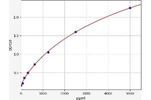 Typical standard curve (p21 ELISA Kit)