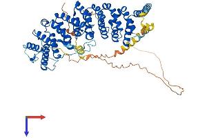 PPP2R5D Protein (AA 1-602) (His tag)