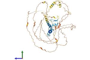 Protein Structure (PS) image for Early Growth Response 1 (EGR1) (AA 1-543) protein (His tag) (ABIN7547335)