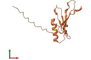 AlphaFold protein structure predicition of Human Recombinant SHANK2-AS3 Protein, UniprotID Q9BTD1