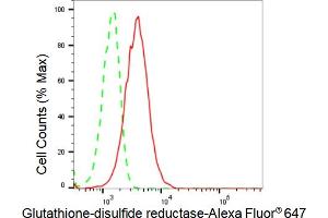 Flow cytometric analysis of Glutathione-disulfide reductase expression in HeLa cells using Glutathione-disulfide reductase antibody (ABIN7798754), 1:2,000).