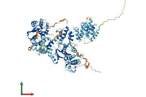 Protein Structure (PS) image for Exonuclease 3'-5' Domain Containing 3 (EXD3) (AA 1-876) protein (His tag) (ABIN7549610)