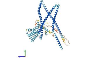 Protein Structure (PS) image for Coiled-Coil Domain Containing 22 (CCDC22) (AA 1-627) protein (His tag) (ABIN7553095)