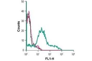 Cell surface detection of P2RX1 in live intact human MEG-01 megakaryoblastic leukemia cells: (black line) Cells. (P2RX1 Antikörper  (Extracellular) (FITC))
